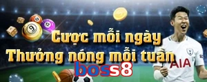 boss8